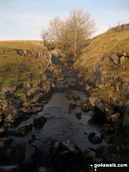 Walk ny331 The Yorkshire Three Peaks Challenge as a 3 day walk - Day 1 from Horton in Ribblesdale (New 2013 Route) - Brow Gill Beck from God's Bridge