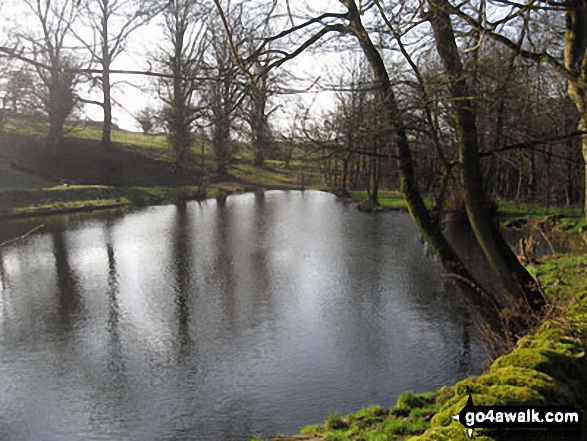 Walk ch207 Sponds Hill and Lyme Park from Higher Poynton - Small Lake near Birchencliff Farm