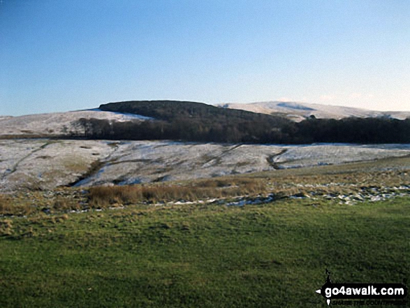 Walk ch266 The Macclesfield Canal and Lyme Park from Higher Poynton - Sponds Hill from Lyme Park Country Park