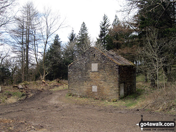 Walk ch223 Tegg's Nose from Langley - Lone, ruined barn near Ashtreetop in Macclesfield Forest