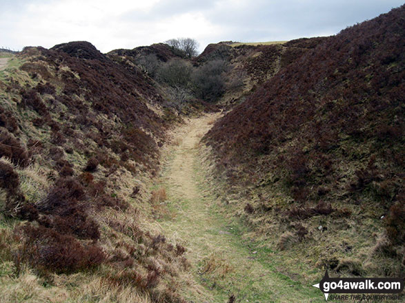 Walk ch223 Tegg's Nose from Langley - On the trail through Tegg's Nose Country Park