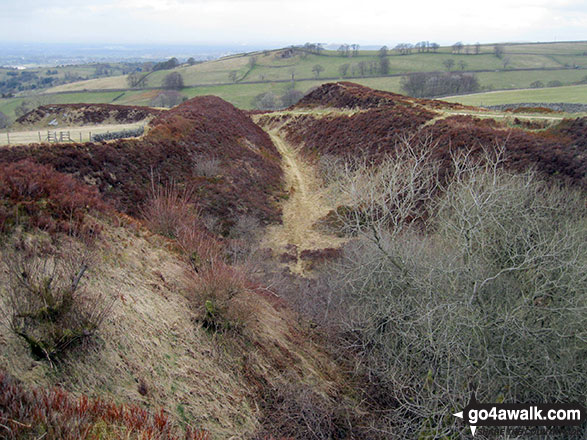 View frrom Tegg's Nose summit