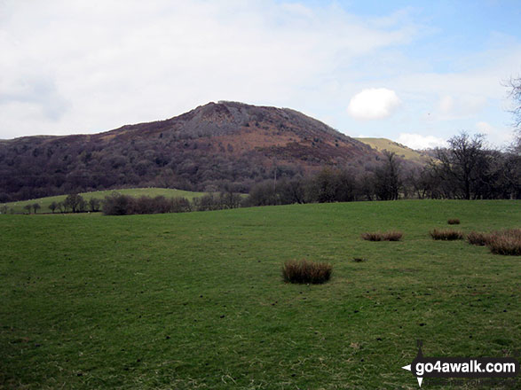 Tegg's Nose from Ridgegate Reservoir