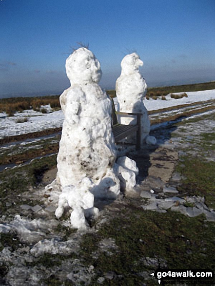 Walk ch207 Sponds Hill and Lyme Park from Higher Poynton - Two huge Snowmen and their Snowdog on Sponds Hill