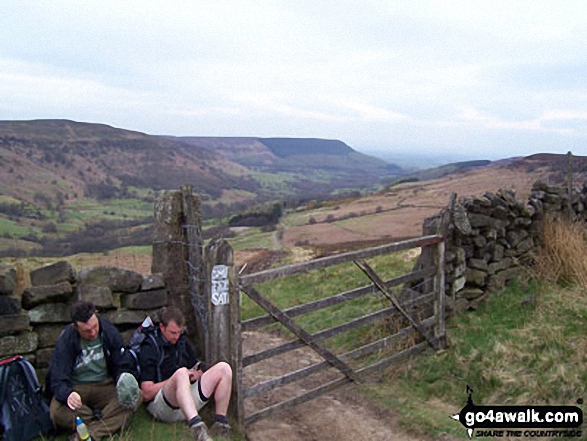 On Cringle Moor, The Cleveland Hills 