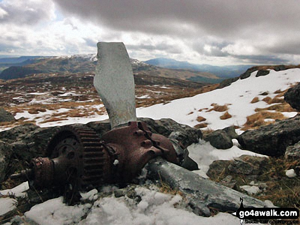 Walk gw146 Aran Fawddwy from Llanuwchllyn - The propeller from a crashed Mosquito aircraft on Aran Fawddwy