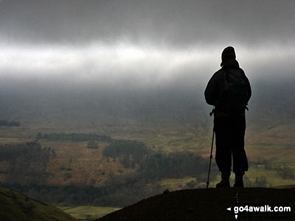 Walk ny104 Buckden Pike from Buckden - On Buckden Pike