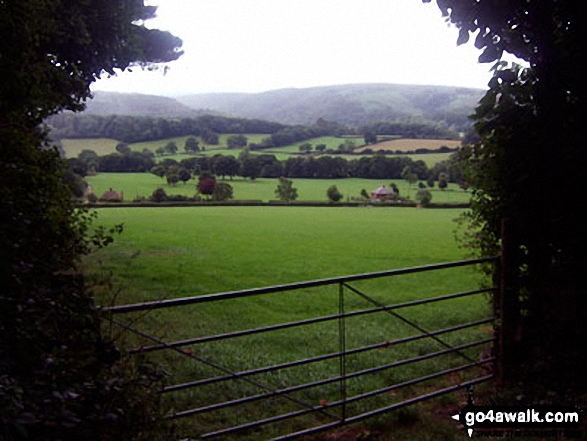 Exmoor through a break in the hedgerow, Selworthy 