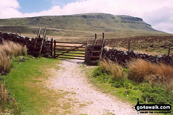 Walk ny321 The Yorkshire Three Peaks Challenge as a 2 day walk - Day 1 from Horton in Ribblesdale (New 2013 Route) - Pen-y-ghent from Brackenbottom on The Yorkshire Three Peaks Challenge