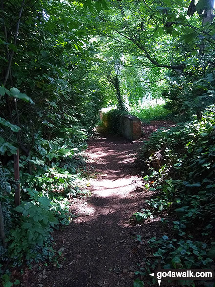 Walk ch261 Statham from Thelwall - Footpath near Thelwall