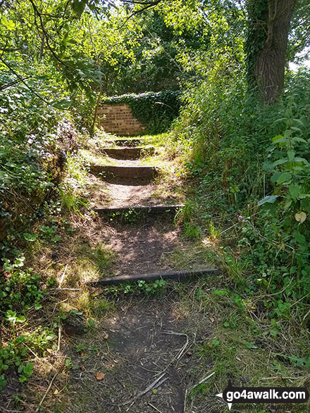 Footpath steps near Thelwall 