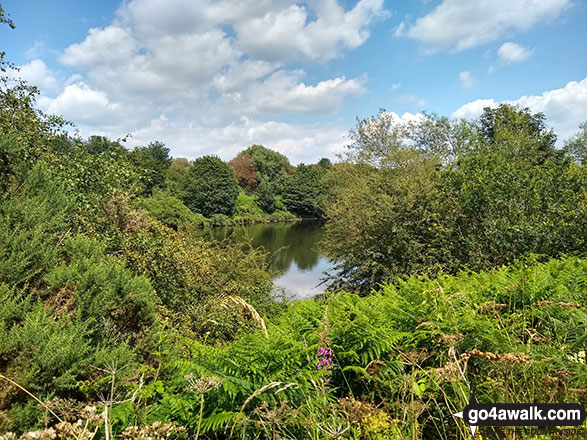 Walk ch261 Statham from Thelwall - The Manchester Ship Canal near Thelwall