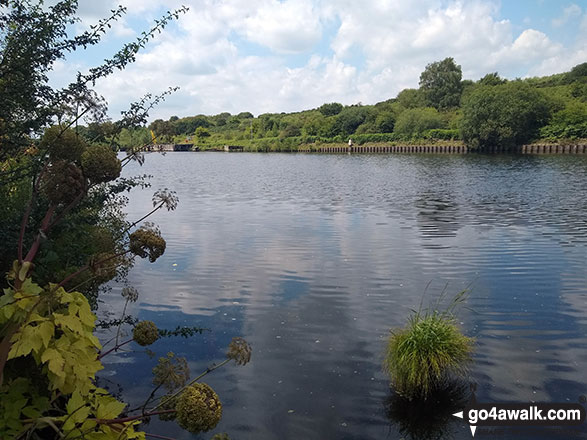 Walk ch261 Statham from Thelwall - The Manchester Ship Canal near Thelwall Viaduct