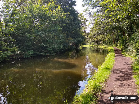 Walk ch261 Statham from Thelwall - The Bridgewater Canal near Thelwall