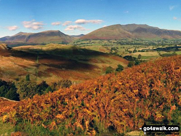 Carl Side, Skiddaw and Lonscale Fell (centre left), Great Calva (centre) and Belncathra or Saddleback, Bannerdale Crags and Souther Fell (centre right) from the summit of High Rigg