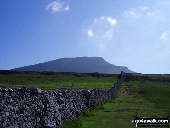 Walk ny101 The Yorkshire Three Peaks from Horton in Ribblesdale - Pen-y-ghent from the west near Horton in Ribblesdale