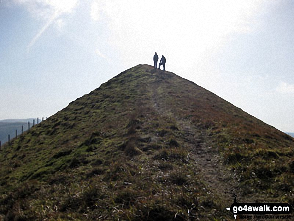 Walk dg143 Saddle Yoke and Hart Fell from Capplegill - The summit of Saddle Yoke