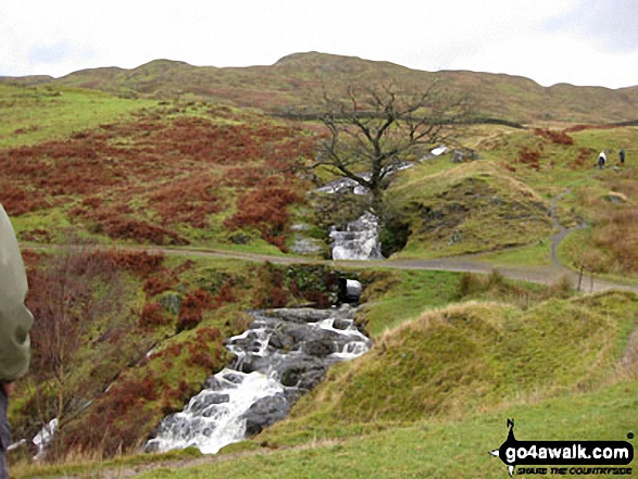 Walk c412 Wansfell Pike and Baystones (Wansfell) from Ambleside - Looking up to the summit of Wansfell Pike