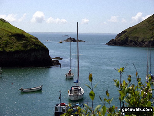 Walk pe101 St Govan's Chapel and Broad Haven from Bosherston - Solva Harbour