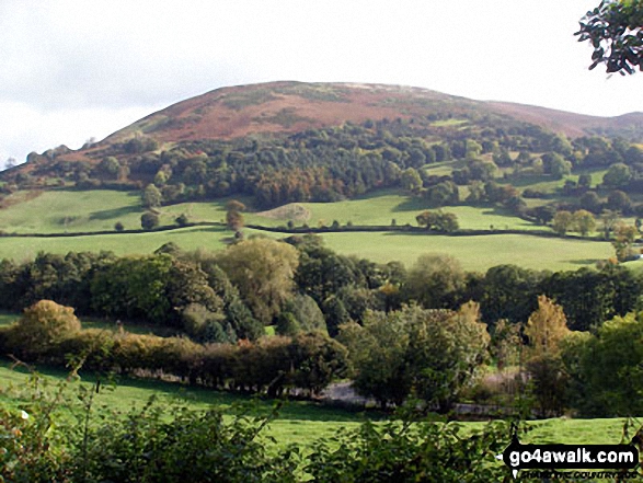 Moel y Parc from The Offa's Dyke Path near Bodfari 