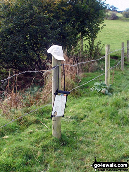 On The Offa's Dyke Path near Bodfari As you can see I lost quite a lot of weight since I joined go4awalk!