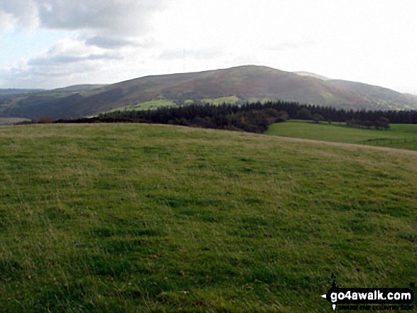 Walk dn123 The Offa's Dyke Path, Rhuallt and Caerwys from Bodfari - Moel y Parc from The Offa's Dyke Path on the summit of Cefn Du