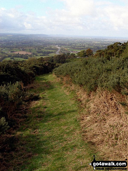 Walk dn123 The Offa's Dyke Path, Rhuallt and Caerwys from Bodfari - The Offa's Dyke Path on Moel Maenefa