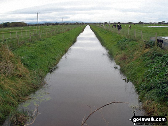 Walk dn117 Ffrith Beach, Dyserth and The Offa's Dyke Path from Prestatyn - Irrigation Channel near Plas Newydd Farm