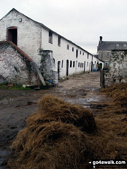 Plas Newydd Farm 