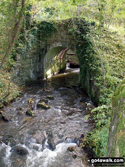 Walk dn143 Dyserth and The Offa's Dyke Path from Prestatyn - Stream above Dyserth Waterfall (Rhaeadr Dyserth)<br>from the North Wales Path, Dyserth