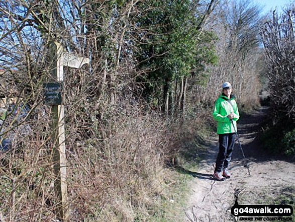 Walk ha103 Caker Stream from Chawton - In Peck Copse near Chawton