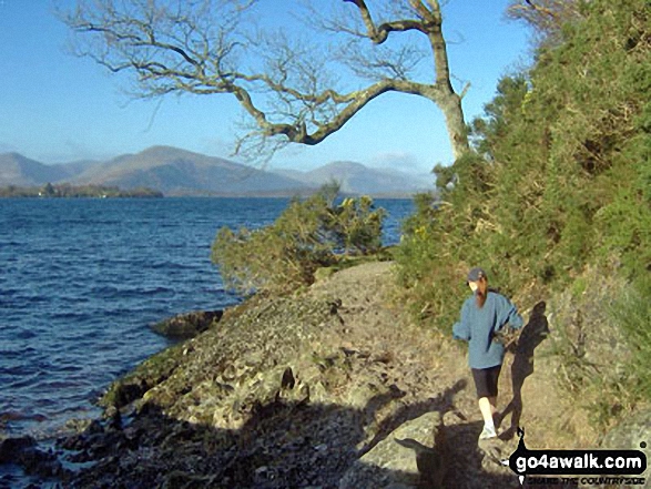 Walk st111 Ben Lomond from Rowardennan - Loch Lomond from near Balmaha