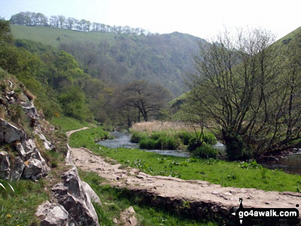 Walk d327 Beresford Dale, Wolfscote Dale, Biggin Dale and Biggin from Hartington - The River Dove in Beresford Dale with Wolfscote Hill above