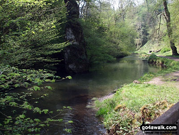 Walk d318 Beresford Dale, Alstonefield and Wolfescote Dale from Hartington - The River Dove in Beresford Dale