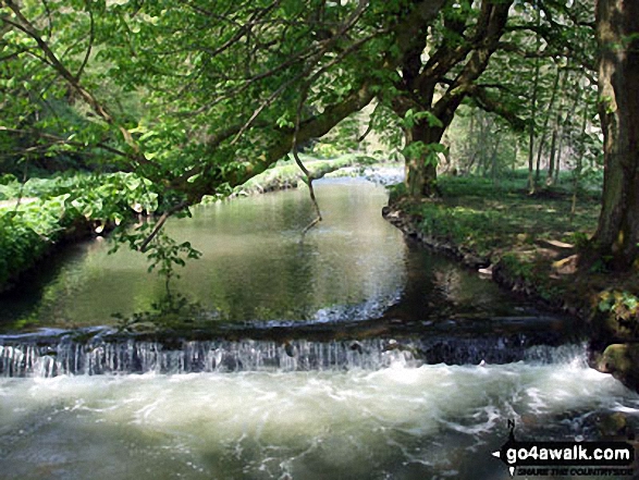 Walk s113 Milldale, Wolfscote Dale, Wolfscote Hill, Narrowdale Hill and Gratton Hill from Alstonefield - The River Dove in Wolfscote Dale