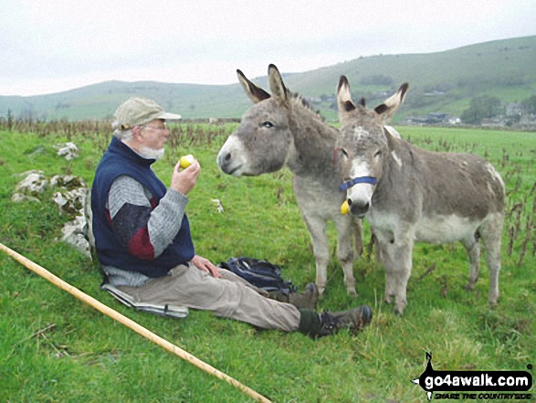 Walk s204 Hollinsclough, Earl Sterndale and Pilsbury Castle Hills from Longnor - Donkeys on Hitter Hill