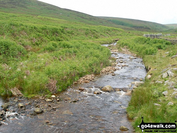 Walk l126  Longridge Fell (Spire Hill) from Jeffrey Hill - The River Hodder