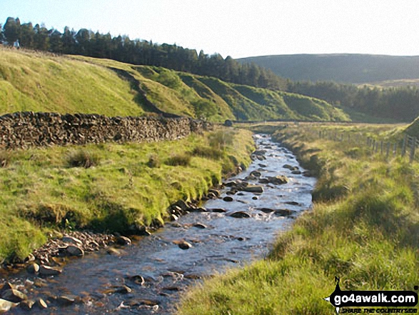 Walk l121 Easington Fell and The River Hodder from Slaidburn - The River Hodder