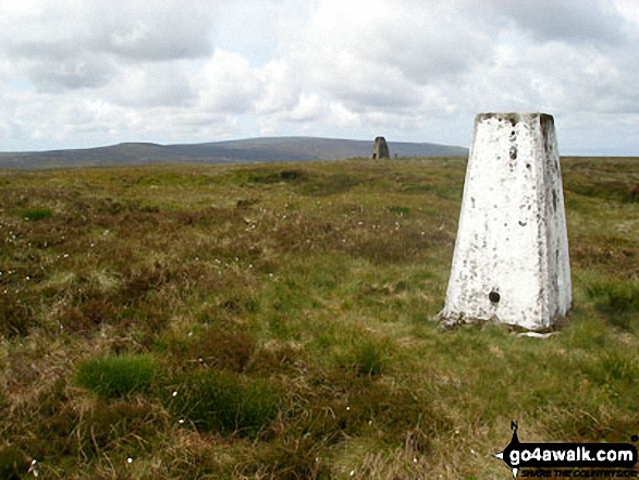 White Hill (Forest of Bowland) trig point