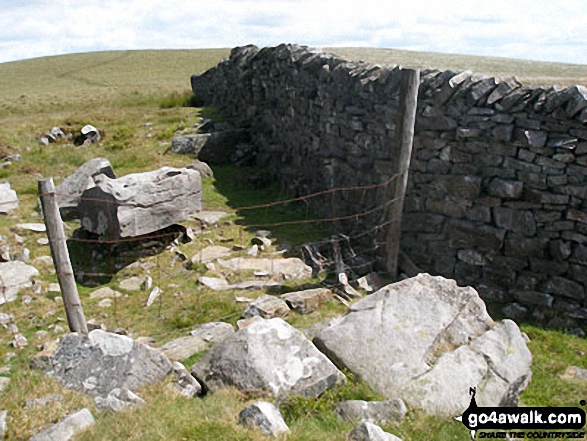 Walk l198 Burn Moor Fell from The Great Stone of Forstone - Great Harlow summit