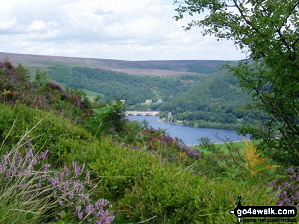 Walk d271 Winhill Pike (Win Hill) from Yorkshire Bridge - Ladybower Reservoir from the lower slopes of Winhill Pike