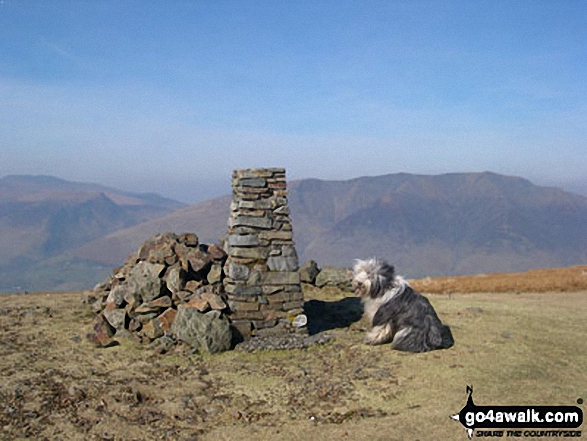 Walk c239 The Deepdale Round from nr Dockray - Skye (my fellow walker) on Clough Head