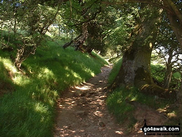 Ollerbrook Booth near Edale 