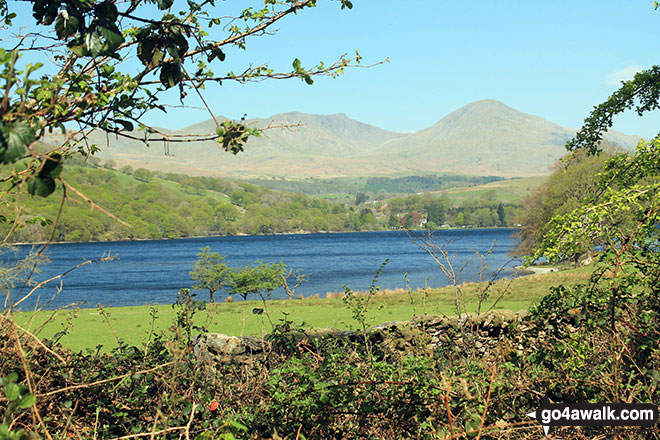 White Maiden, Walna Scar, Dow Crag and The Old Man of Coniston across Coniston Water from Crab Haws Woods