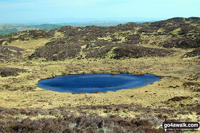 Arnsbarrow Tarn from Top o' Selside 