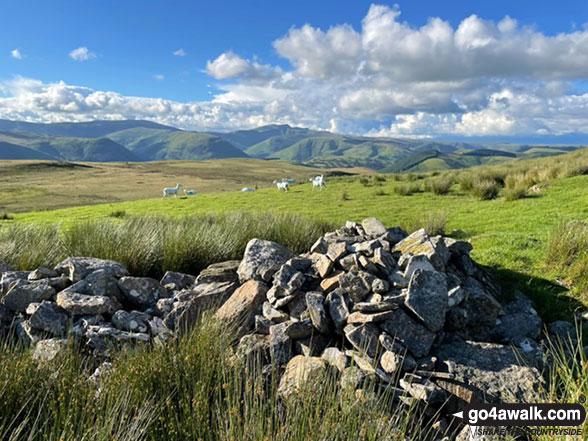 The view from the summit of Esgair Ddu (Cambrian Mountains) 