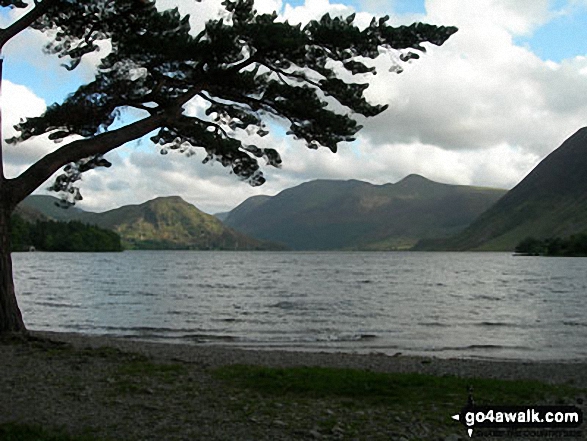 Walk c221 A Circuit of Crummock Water from Buttermere - Crummock Water with Rannerdale Knotts (centre left), The High Stile Ridge (High Crag, High Stile and Red Pike (Buttermere) and the lower slopes of Mellbreak (far right) from Lanthwaite Wood