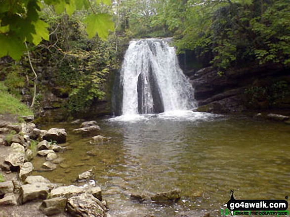 Walk ny159 Gordale Scar and Malham Cove from Malham - Janet's Foss, Malham