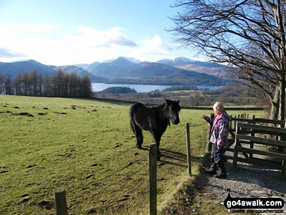 Looking North West towards Derwent Water and Cat Bells (Catbells) between Brockle Beck and Springs Farm 