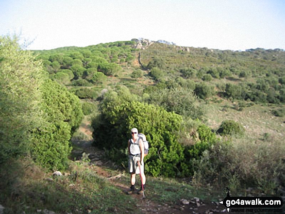 Morning walking out of Jimena de la Frontera up through maquis - on the southern end of the GR7 